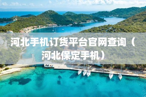 河北手机订货平台官网查询（河北保定手机）